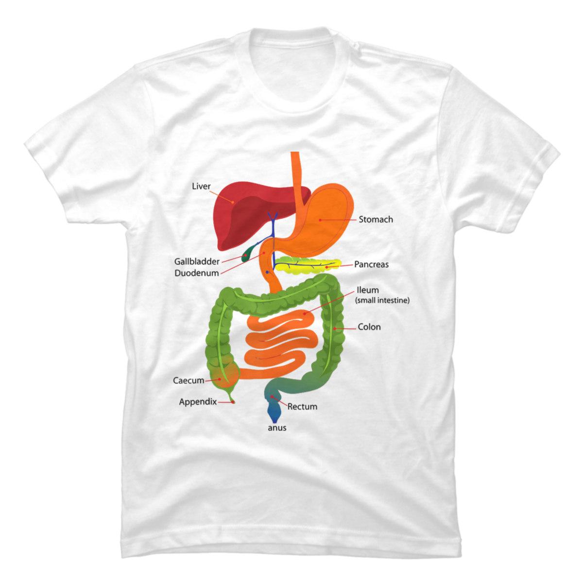 digestive system t shirt digestive system t shirt